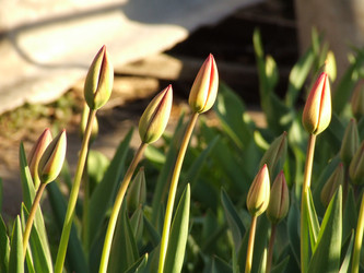 Similar image 143309