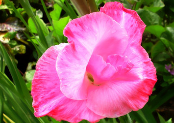 Similar image 143311