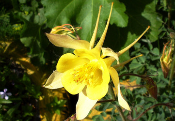 Similar image 143313