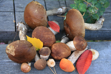 Similar image 143317