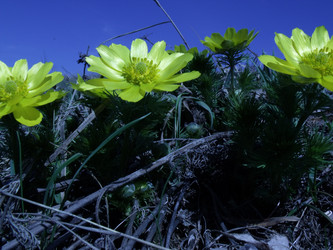 Similar image 143318