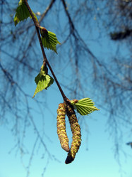 Similar image 143329