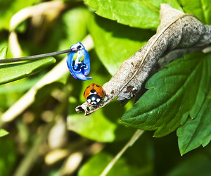 Similar image 143355