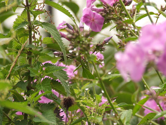 Similar image 143359