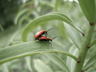 Similar image 143360