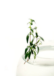 Similar image 143361