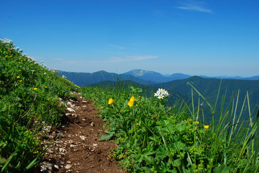 Similar image 143364