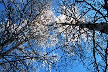 Similar image 143379