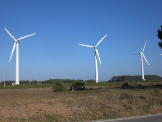 Similar image 143382