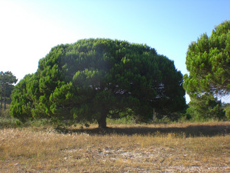 Similar image 143386