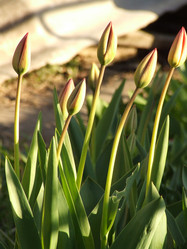 Similar image 143411