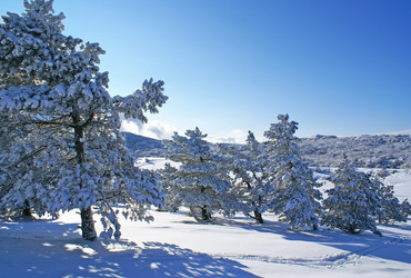 Similar image 143422