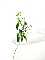 Similar image 143424