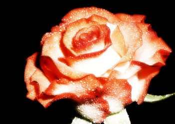 Similar image 143430