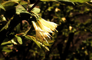 Similar image 143432