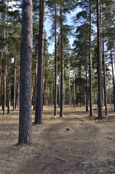 Similar image 143441