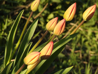 Similar image 143463