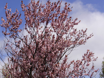 Similar image 143464