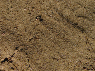 Similar image 143470