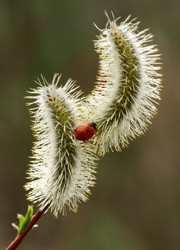 Similar image 143493