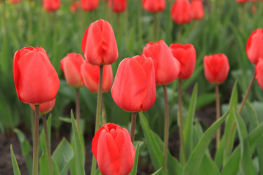 Similar image 143512