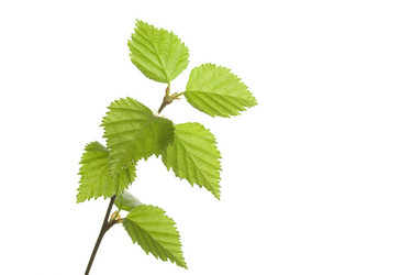 Similar image 143523