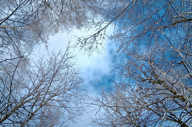 Similar image 143559