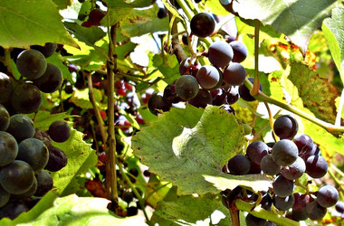 Similar image 143574