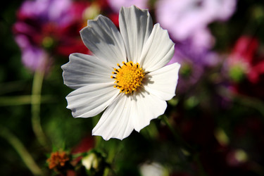 Similar image 143575