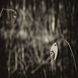 Similar image 143599