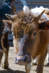 Similar image 143615