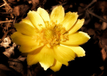 Similar image 143663