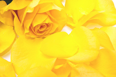 Similar image 143666