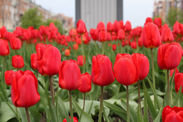 Similar image 143669