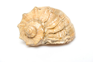 Similar image 143672