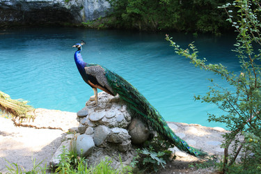 Similar image 143698