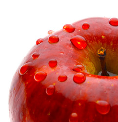 Similar image 143701