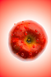 Similar image 143702