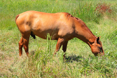 Similar image 143704