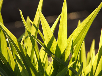 Similar image 143746