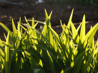 Similar image 143747