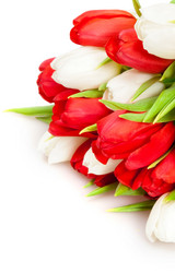 Similar image 143768