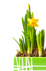 Similar image 143776