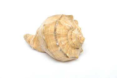 Similar image 143792