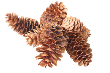 Similar image 143801