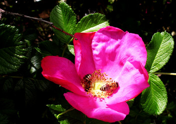 Similar image 143825