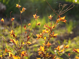 Similar image 143852