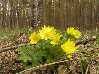 Similar image 143871