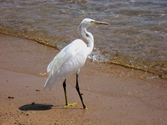 Similar image 143876