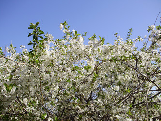 Similar image 143913